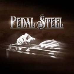 Pedal Steel by Impact Soundworks