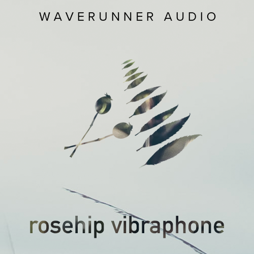 Rosehip Vibes by Waverunner Audio