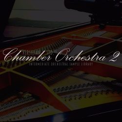 Chamber Orchestra 2: Standard Edition by Versilian Studios