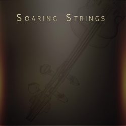 soaring strings by Musical Sampling