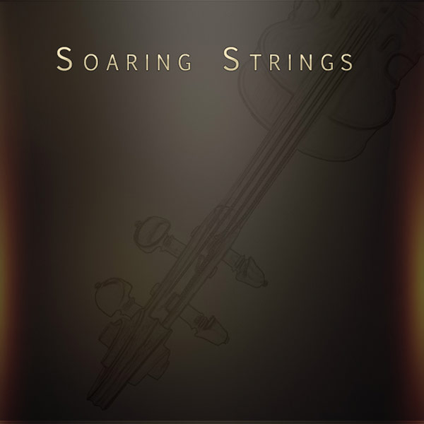 soaring strings by Musical Sampling