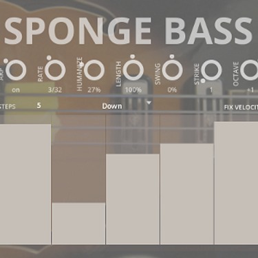 sponge bass