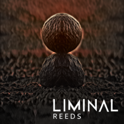 liminal reeds
