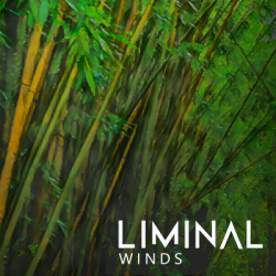 Liminal Winds Crocus Soundware