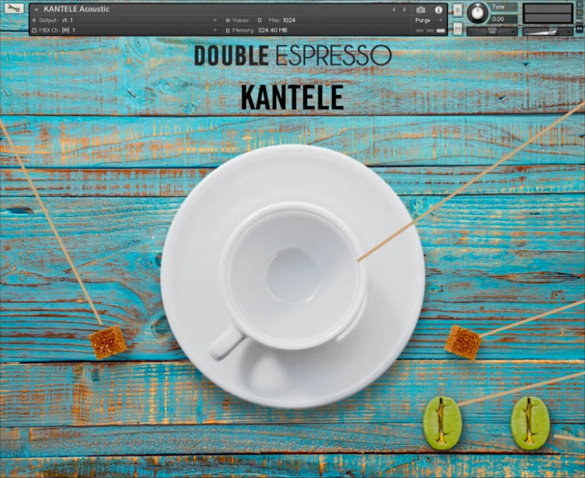 Kantele Bundle by Have Audio Acoustic GUI