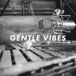 Gentle Vibes By Jon Meyer Music