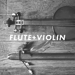 Flute Violin By Jon Meyer Music