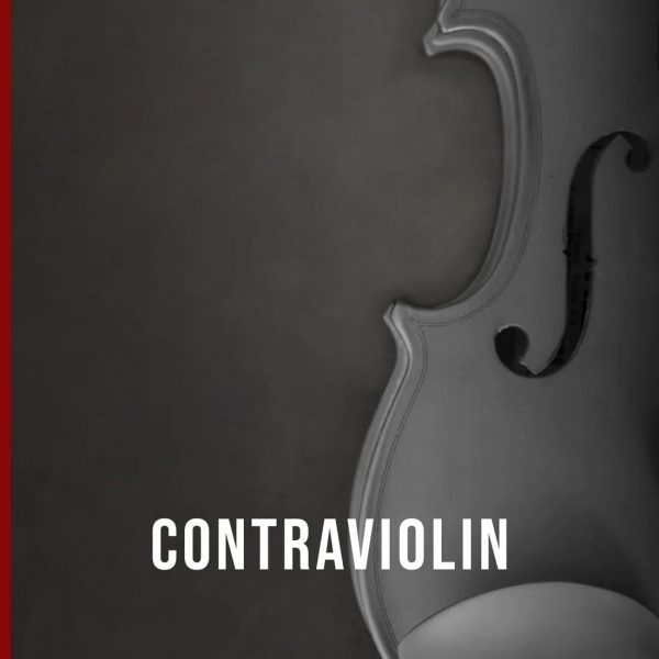 Contraviolin by Schallenberg Engineering