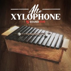 Alto Xylophone by Soundiron