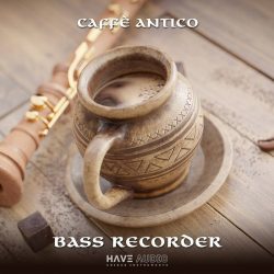 Bass Recorder by Have Audio
