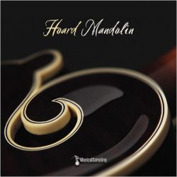 Hoard Mandolin by Musical Sampling