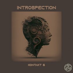Introspection by Triple Spiral Audio