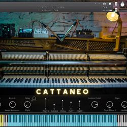 Cattaneo Upright Piano by Have Audio