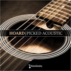 Hoard Picked Acoustic by Musical Sampling