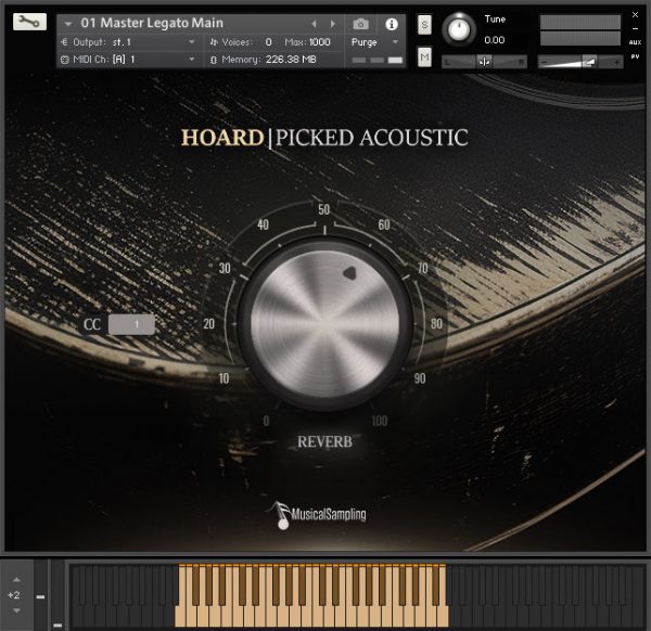 Hoard Picked Acoustic by Musical Sampling main GUI