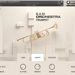 B.A.M. Orchestra Trumpet by SuperAudio