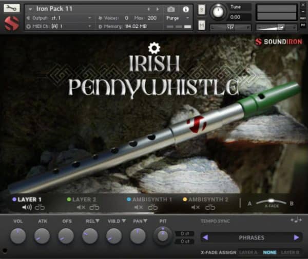 Iron Pack 11 Irish Pennywhistle main GUI
