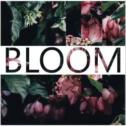 Bloom by iamlamprey