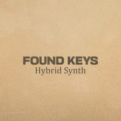 Found Keys by iamlamprey