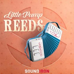 Little Pump Reeds by Soundiron