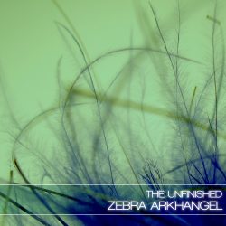 Zebra Arkhangel by The Unfinished