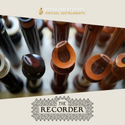 The Recorder Series by Versilian Studios