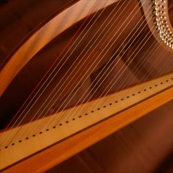 Celtic Harp by Aria Sounds