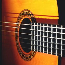 Classical Guitarist by Aria Sounds