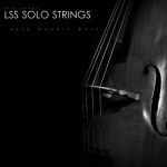 LSS Solo Double Bass by Aria Sounds