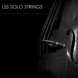 LSS Solo Double Bass by Aria Sounds