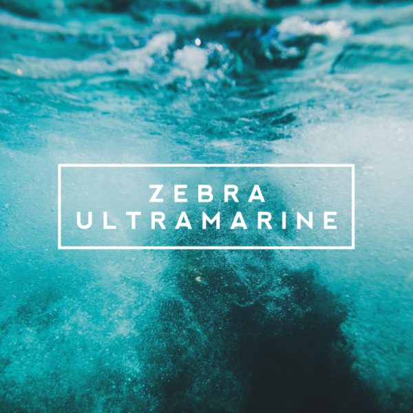 Zebra Ultramarine by MIDIssonance