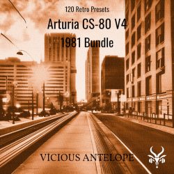 1981 Bundle by Vicious Antelope