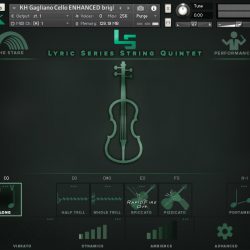 Lyric Strings Quintet by Kirk Hunter Studios