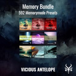 Memory Bundle by Vicious Antelope