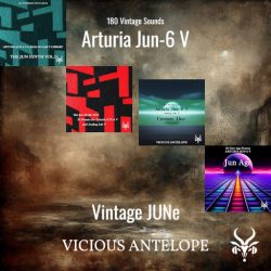 Vintage JUNe bundle by Vicious Antelope