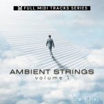 Ambient Strings Vol 1 by Equinox Sounds