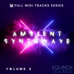 Ambient Synthwave Vol 2 by Equinox Sounds