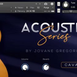 Acoustic Series - Cavaco by GSamples