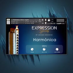 Harmonica by GSamples