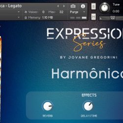 Harmonica by GSamples