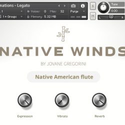Native Winds Native American Flute by GSamples