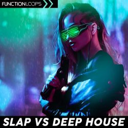 Slap vs Deep House by Function loops