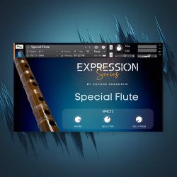 Special Flute by GSamples