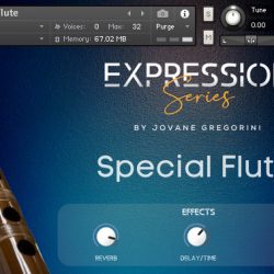 Special Flute by GSamples