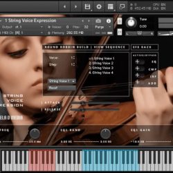 String Voice Expression by Bela D Media