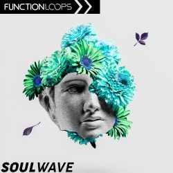 Soulwave by Function Loops