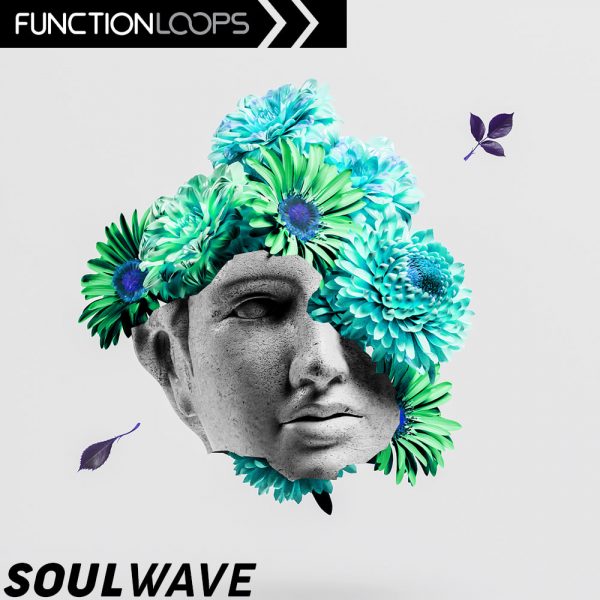 Soulwave by Function Loops