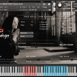 VOCI by Design by Bela D Media