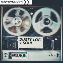 Dusty Lofi Soul by Function Loops