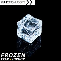 Frozen - Trap & Hiphop by Function Loops
